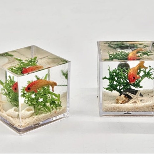 등록된 이미지가 없습니다.