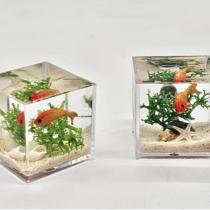 등록된 이미지가 없습니다.