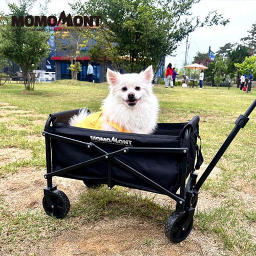 등록된 이미지가 없습니다.