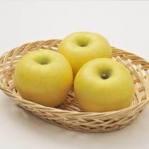 등록된 이미지가 없습니다.