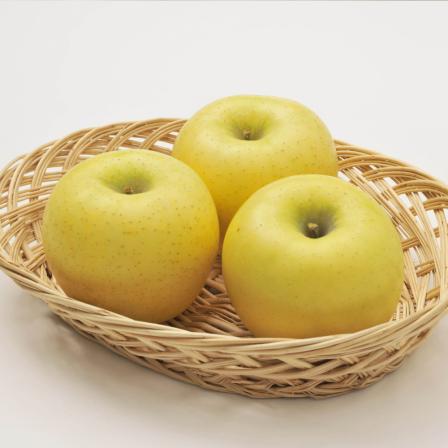 등록된 이미지가 없습니다.