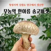 등록된 이미지가 없습니다.