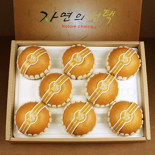 등록된 이미지가 없습니다.