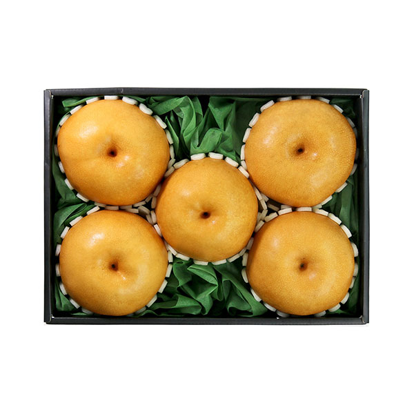 등록된 이미지가 없습니다.