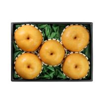 등록된 이미지가 없습니다.