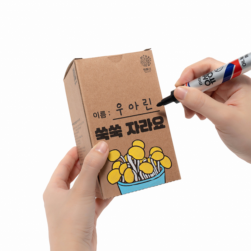 문구는ART다. 카테고리1위 알파 공식쇼핑몰!