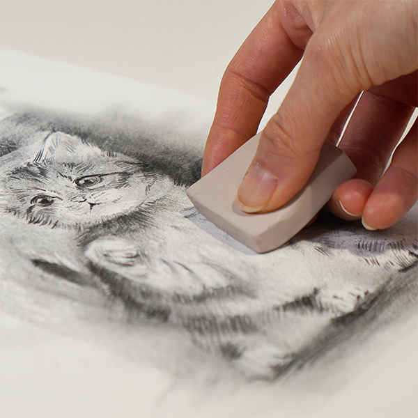 등록된 이미지가 없습니다.