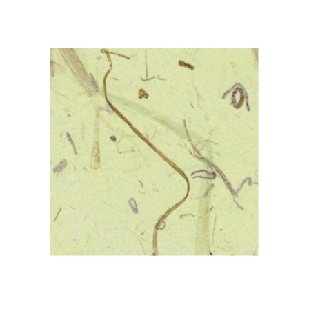 등록된 이미지가 없습니다.